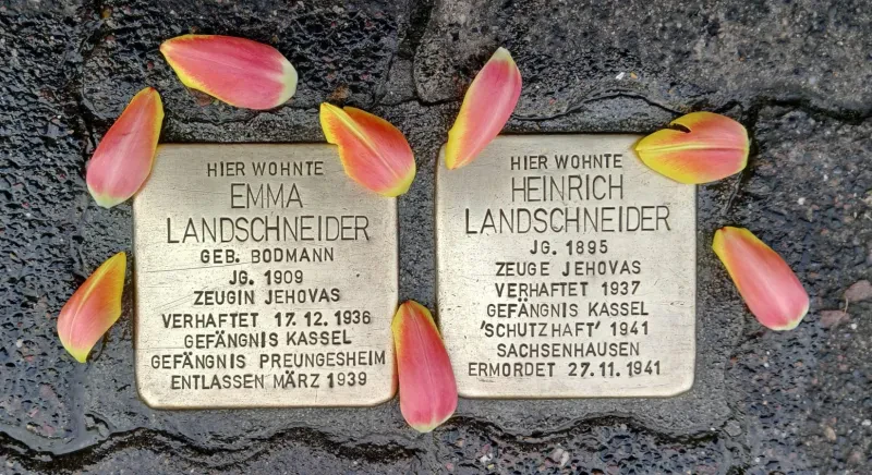 Zwei Stolpersteine für Emma und Heinrich Land Schneider, frisch geputzt, daneben liegen Blütenblätter.