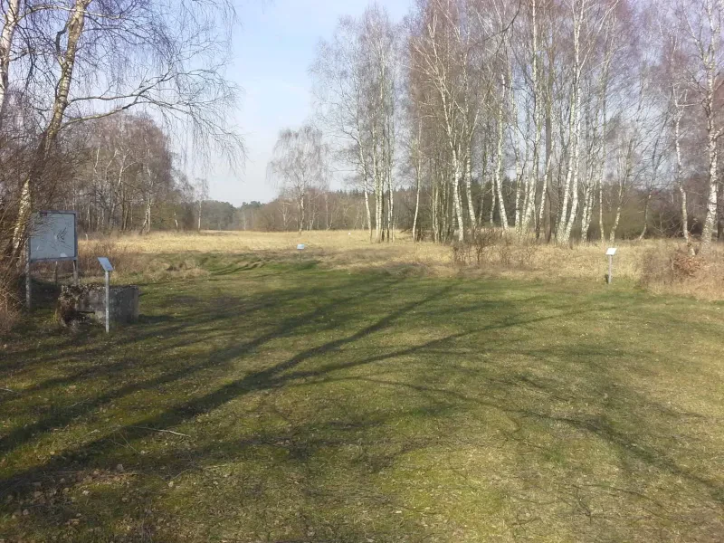 Blick auf eine Wiese, im Hintergrund Birken, links eine Gedenktafel.