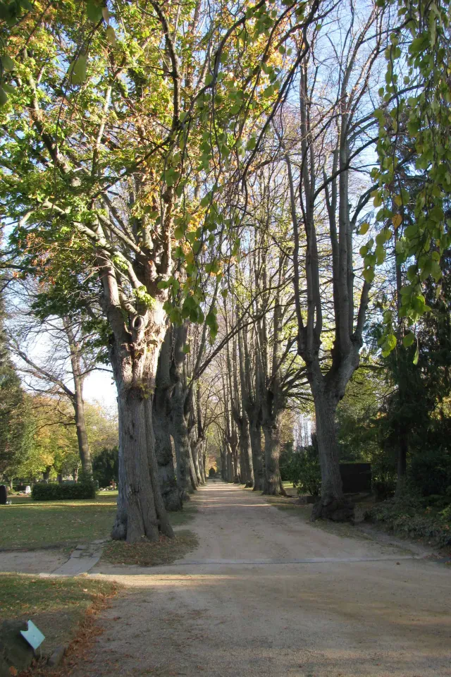 Bild von Bad Harzburg, Städtischer Friedhof