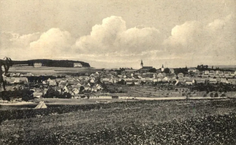 Das Foto zeigt den Truppenübungsplatz, im Hintergrund ein Dorf.