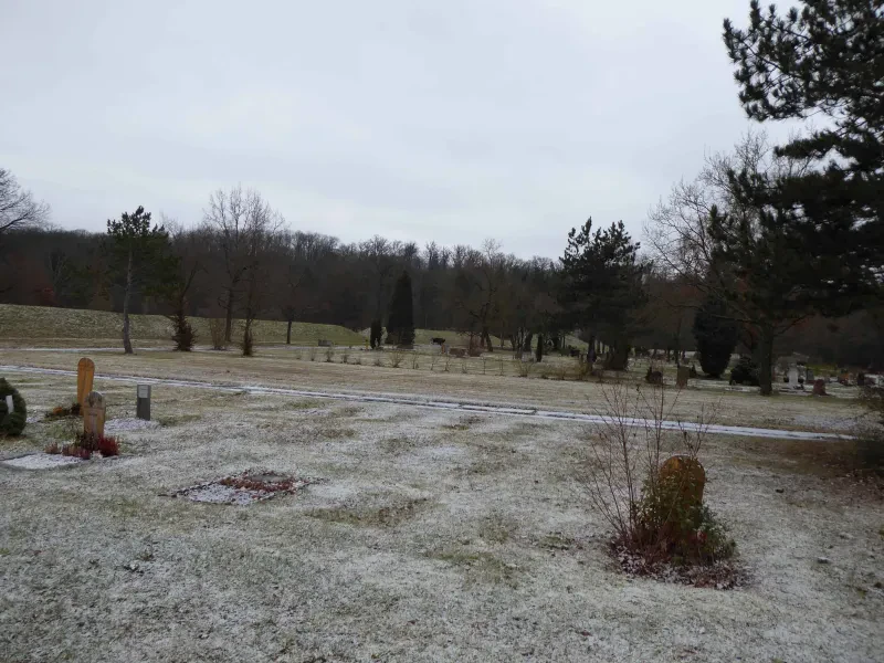 Eine Winterwiese mit vereinzelten Grabsteinen.