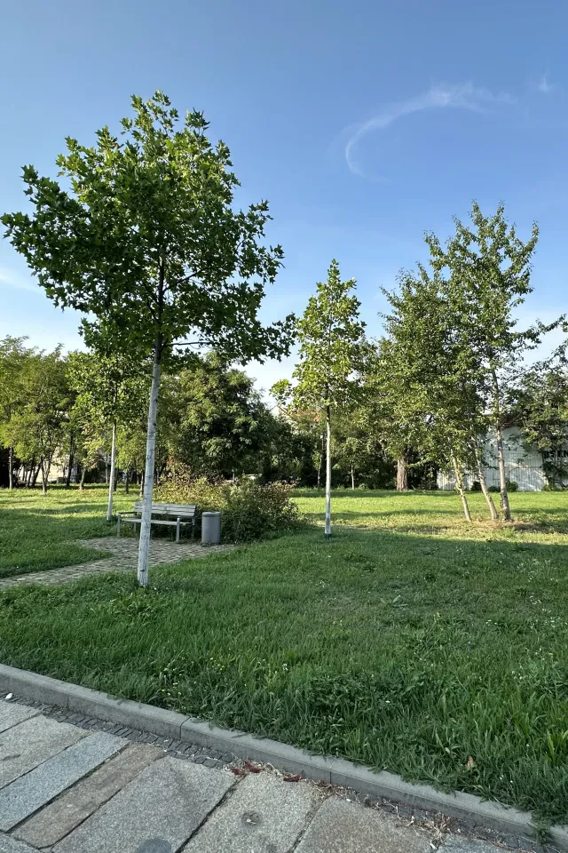Bild von Dresden, Schäferstraße 16