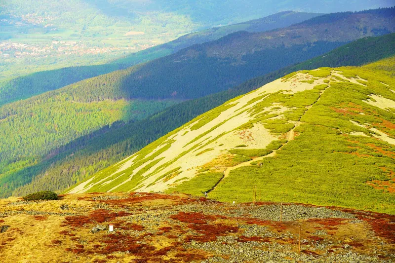 Wanderweg über einen mit Flechten und Moos bewachsenen Bergrücken oberhalb von Nadelwäldern an steilen Hängen.