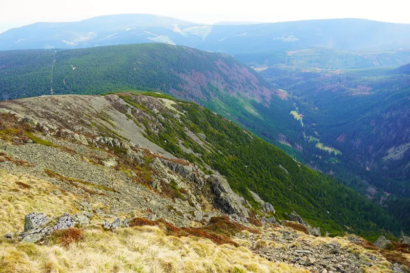 Blick oberhalb von der Baumgrenze auf die bewaldeten steilen Hänge des Riesengebirges