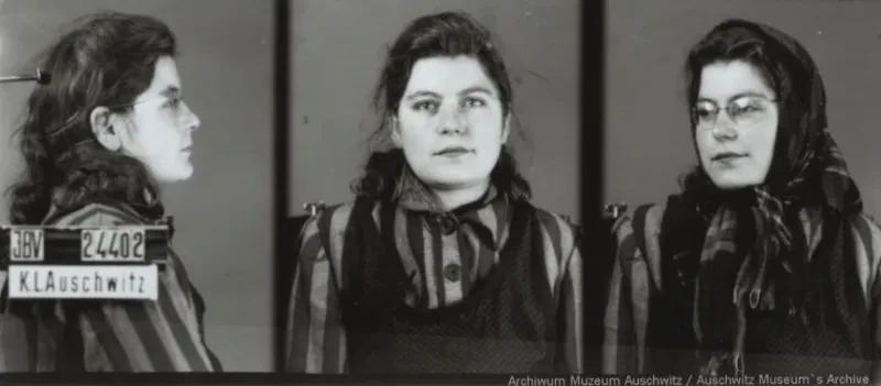 Eine junge Frau wird zunächst seitlich von rechts, dann von vorn und schließlich im Halbprofil mit Kopftuch und Brille aufgenommen. Auf dem ersten Bild ist der Schriftzug IBV, KL Auschwitz und die Häftlingsnummer zu sehen.