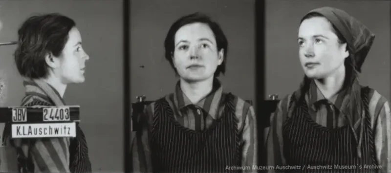 Eine junge Frau wird zunächst seitlich von rechts, dann von vorn und schließlich im Halbprofil mit Kopftuch aufgenommen. Auf dem ersten Bild ist der Schriftzug IBV, KL Auschwitz und die Häftlingsnummer zu sehen.