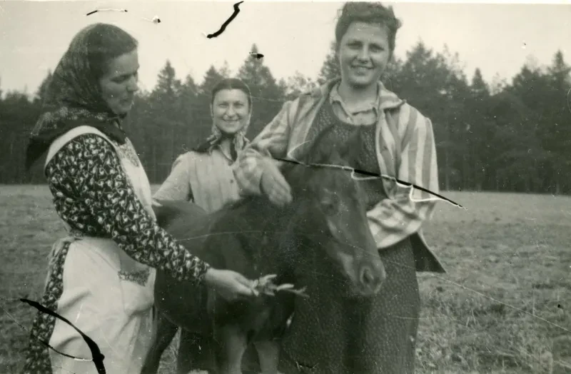 Foto der Zeuginnen Jehovas Elisabeth Meyer (links), Gertrud Büßler (mitte) und Magdalena Kusserow (rechts) mit einem Fohlen. Das Bild entstand 1945 nach der Befreiung des ehemaligen KZ-Kommandos. Magdalena Kusserow trägt noch ihre KZ-Jacke.