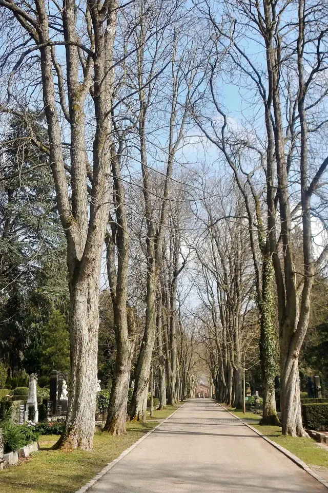 Bild von Pforzheim, Hauptfriedhof