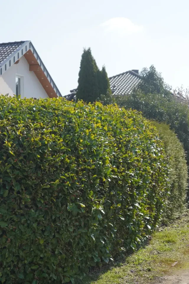 Bild von Lübbecke, Emmy-Zehden-Weg