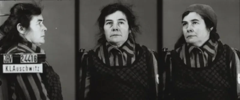 Eine Frau wird zunächst seitlich von rechts, dann von vorn und schließlich im Halbprofil mit Kopftuch aufgenommen. Auf dem ersten Bild ist der Schriftzug IBV, KL Auschwitz und die Häftlingsnummer zu sehen.