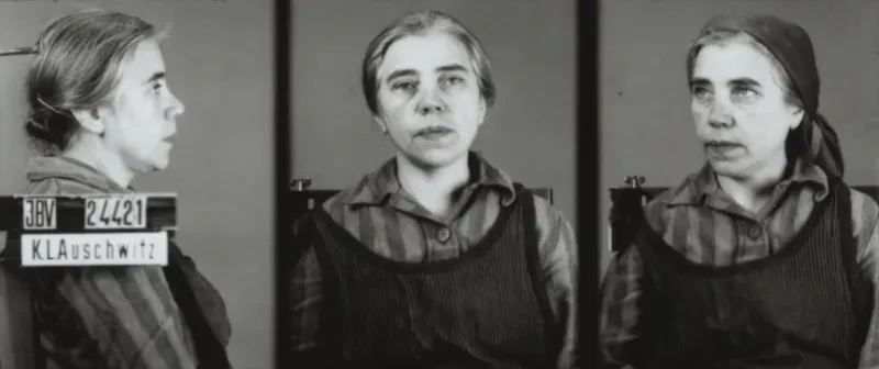 Eine junge Frau wird zunächst seitlich von rechts, dann von vorn und schließlich im Halbprofil mit Kopftuch aufgenommen. Auf dem ersten Bild ist der Schriftzug IBV, KL Auschwitz und die Häftlingsnummer zu sehen.