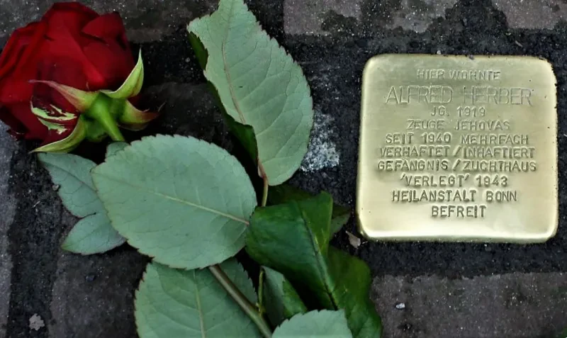 Eine rote Rose liegt neben einem Stolperstein mit der Inschrift: "Hier wohnte Alfred Herber, Jahrgang 1919, Zeuge Jehovas, seit 1940 mehrfach verhaftet / inhaftiert Gefängnis / Zuchthaus, "verlegt" 1943 Heilanstalt Bonn, befreit".