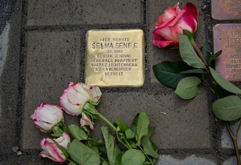 Ein glänzender neu verlegter Stolperstein für Selma Senff neben zwei älteren schon matteren Stolpersteinen. Auch drei Rosen sind im Bild.